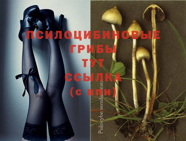 прущие крисы Алзамай